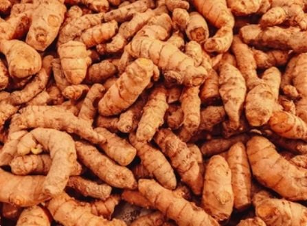 Curcuma cru