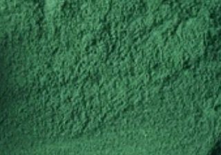 Spiruline française